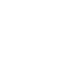 bulley-arrow.png