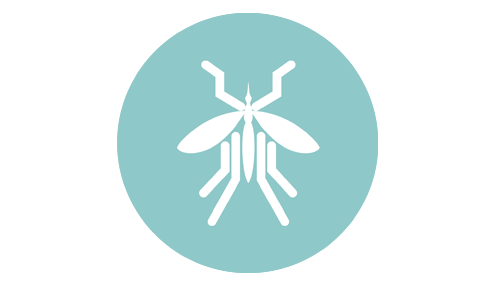 mosquito.png